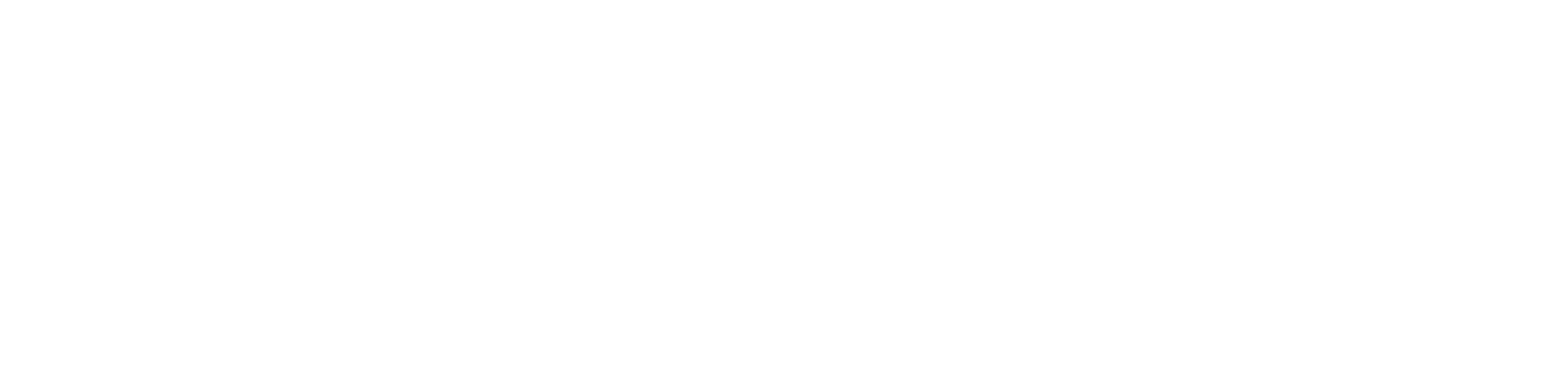 Logo von Dornier Consulting International in Weiß